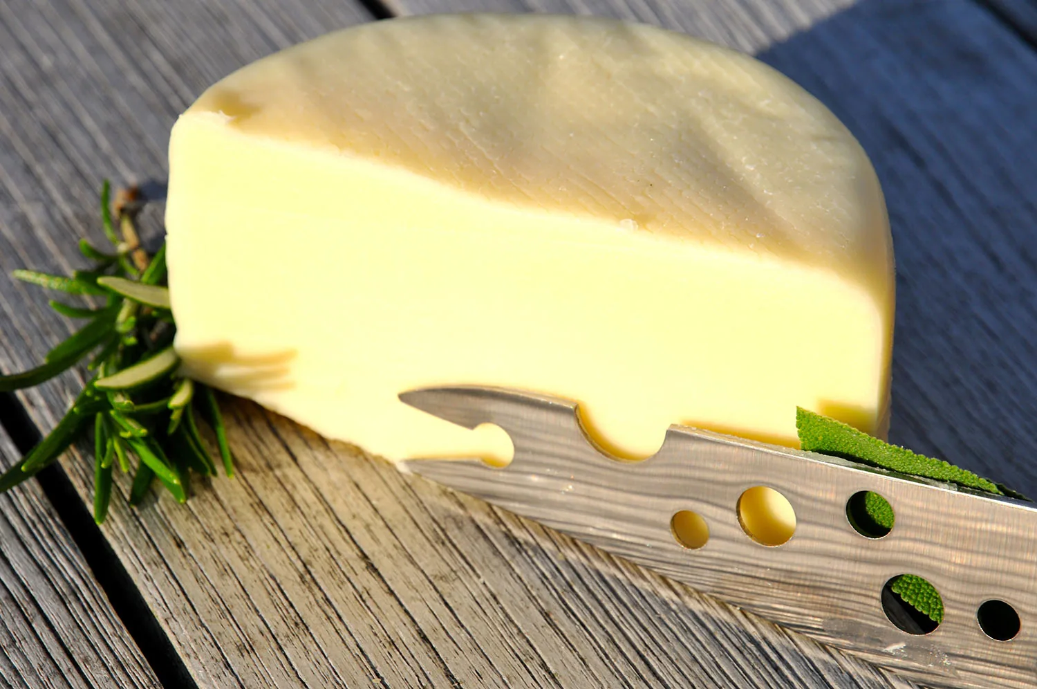 Schnittkäse (Dalia)
