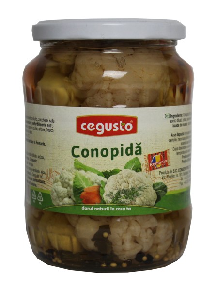 Conopida in otet